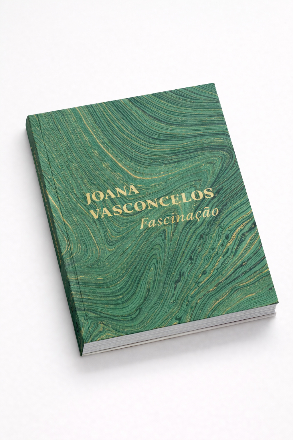 Catálogo exposição Joana Vasconcelo - Fascinação